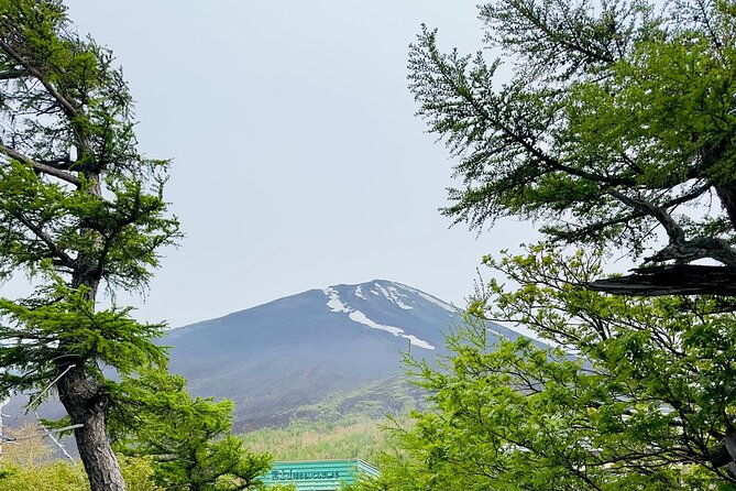 cherry-blossom-mount-fuji-customizable-luxury-vehicle-guided-tour