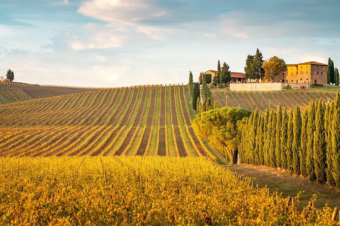 chianti-experience-shore-excursion-from-livorno-port-2