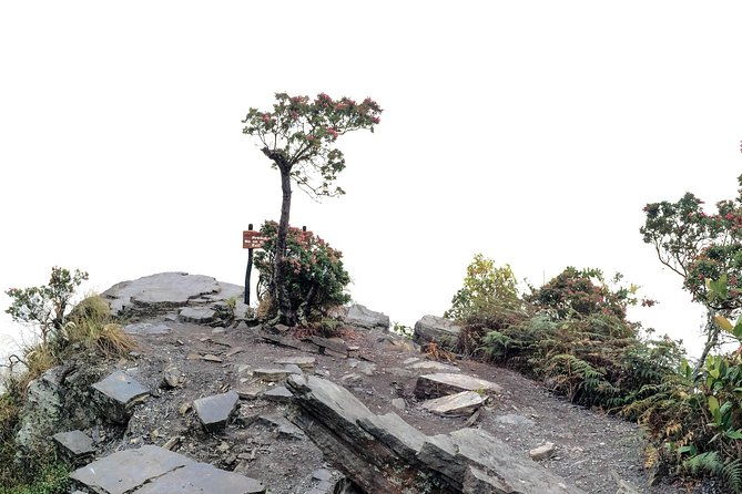 chicaque-national-park