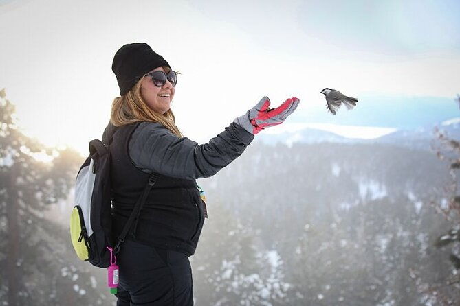 chickadee-ridge-beginner-snowshoe-activity