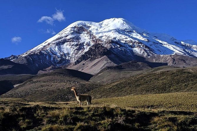 chimborazo-tour-from-quito-hiking-and-ascent-to-condor-cocha-all-included