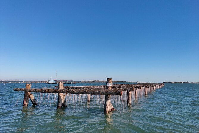 chioggia-aquaculture-secrets-tours-of-the-lagoon