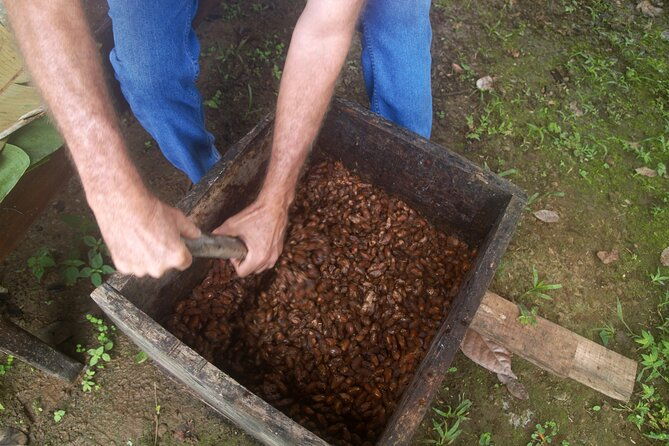 chocolate-and-farm-tour-with-local-tico-family