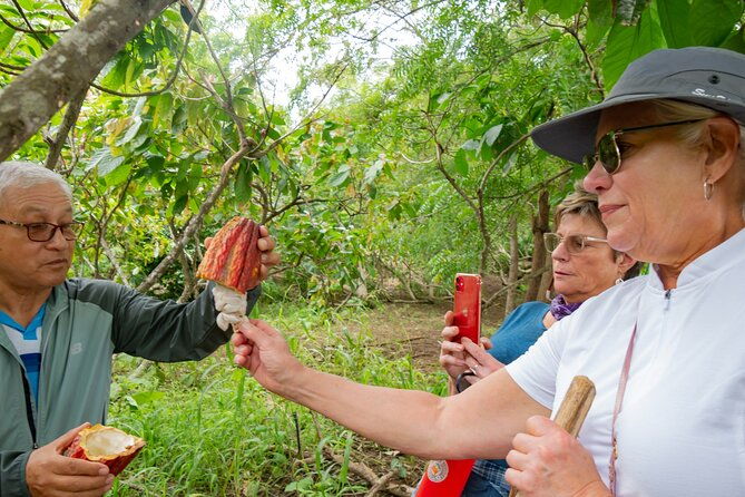 churute-mangrove-ecological-reserve-and-cocoa-farm