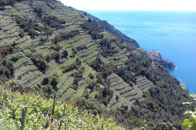 cinque-terre-unforgettable-hiking-experience