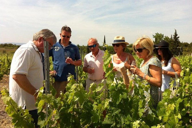 cite-de-carcassonne-and-wine-tasting-private-day-tour-from-toulouse