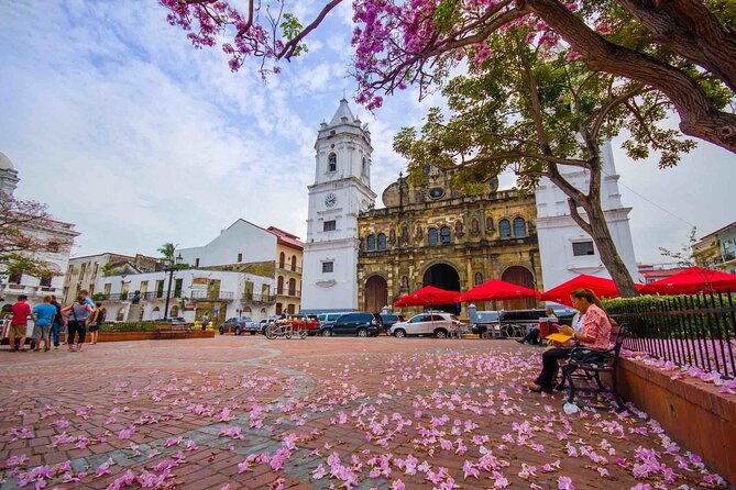 city-tour-and-panama-canal