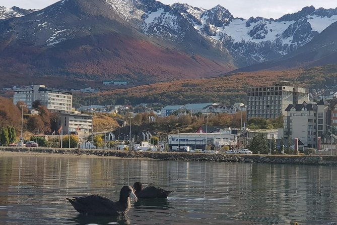 city-tour-ushuaia