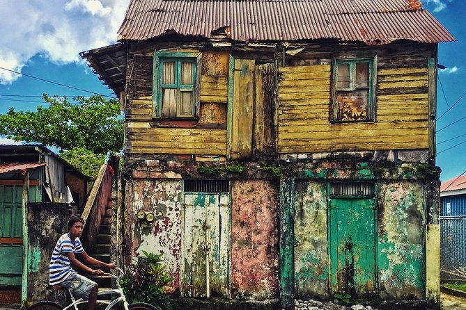 city-tour-with-botanical-gardens-trafalgar-falls-morne-bruce