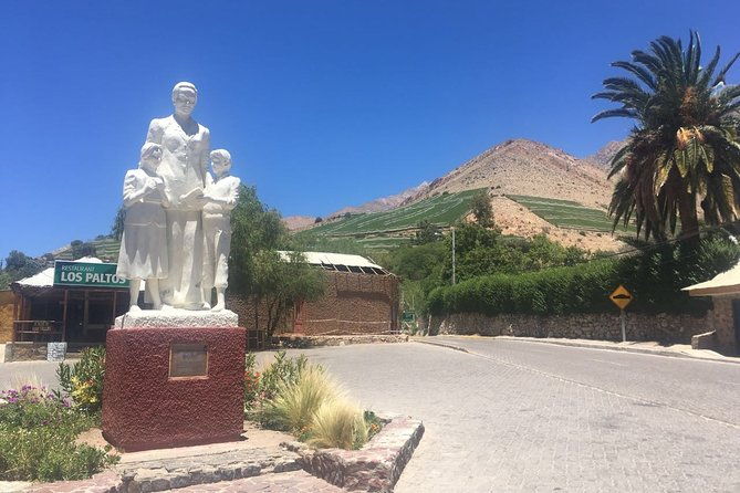 classic-elqui-valley-between-vineyards-and-fruit-trees