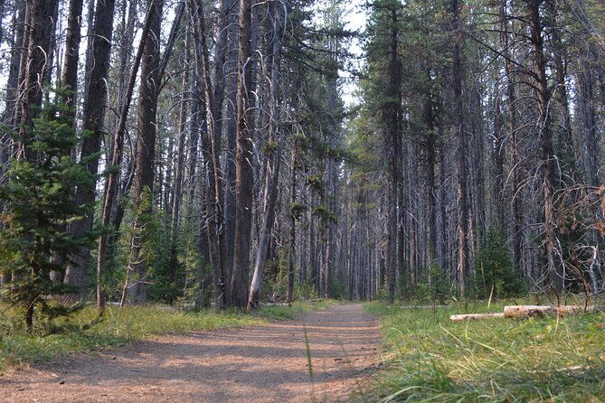 classic-yellowstone-hike-to-the-shores-of-lake-shoshone-private-up-to-8-people