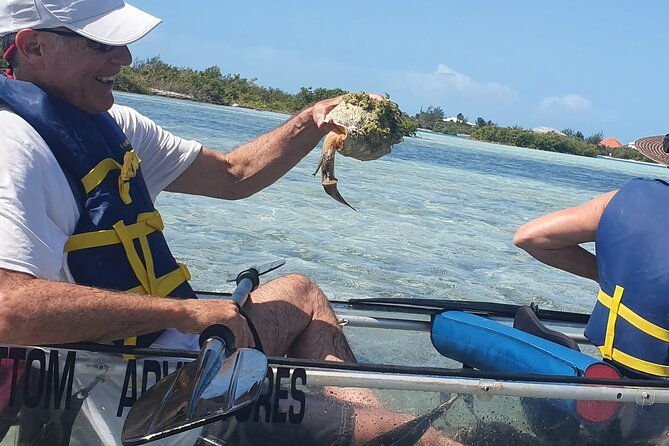 clear-bottom-kayaks-mangrove-tour