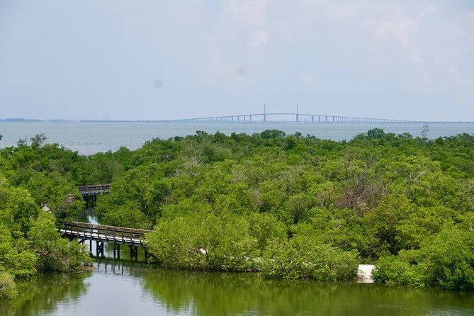 clear-kayak-ecotour-at-robinson-preserve-in-bradenton-florida