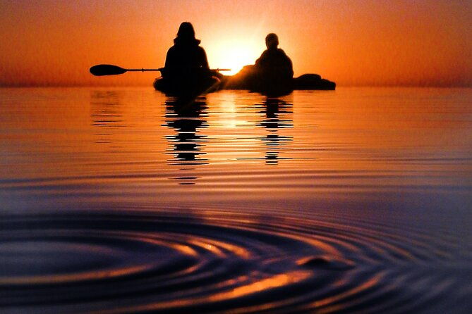 clear-kayak-florida-bioluminescence-tour-beacon-42-titusville