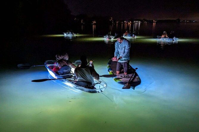 clear-kayak-led-night-glass-bottom-tour-anna-maria-island