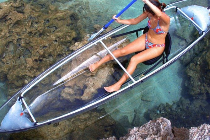 clear-kayak-private-guided-day-and-night-tours-in-florida
