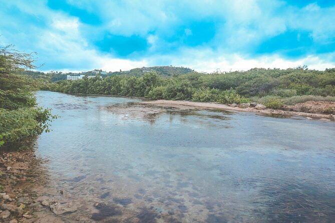 clear-kayak-tour-in-mangrove-antigua