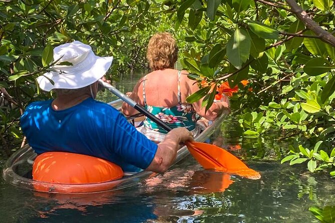 clear-kayak-tour