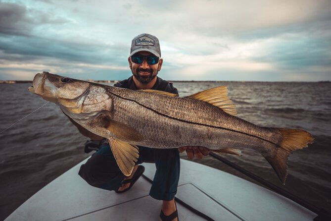 clearwater-beach-fishing-charter-half-day-of-fishing-fun-on-the-water