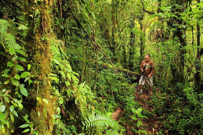 cloud-forest-hike-at-juan-castro-blanco-national-park