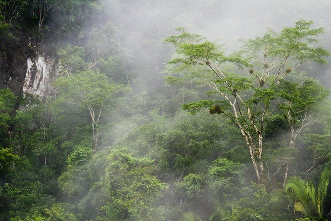 cockscomb-basin-wildlife-sanctuary-and-jaguar-preserve