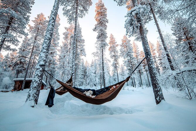 cocooning-in-the-halipuu-forest-the-ultimate-arctic-hammock-relaxation-2