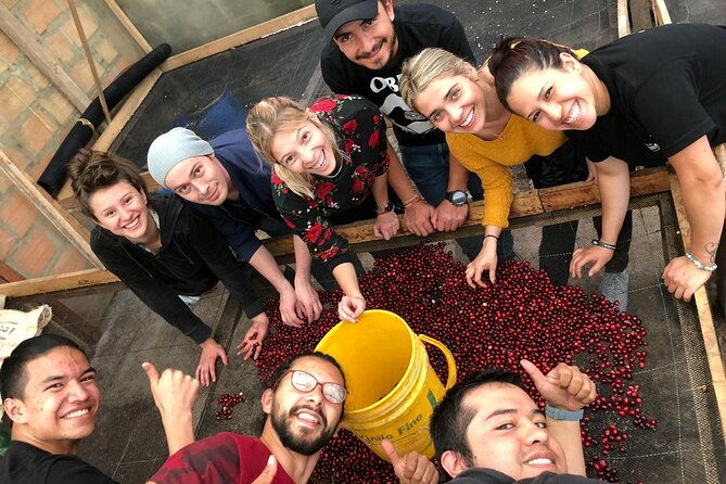 cocora-valley-salento-and-coffee-farm-day-tour-3