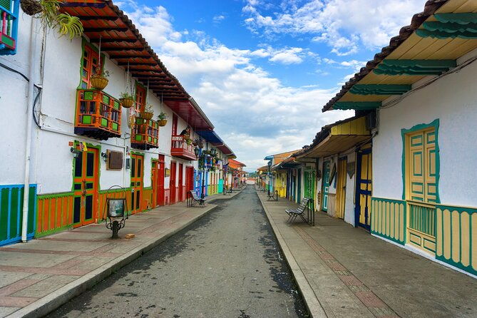cocora-valley-salento-and-coffee-farm-day-tour