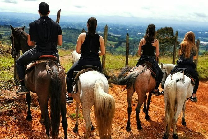 coffee-horses-private-tour-in-medellin-a-fun-authentic-day