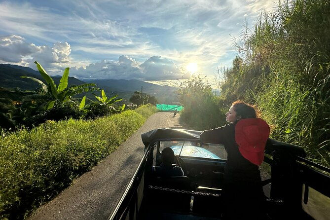 coffee-region-andes-mountains-coffee-tour-pijao-buenavista