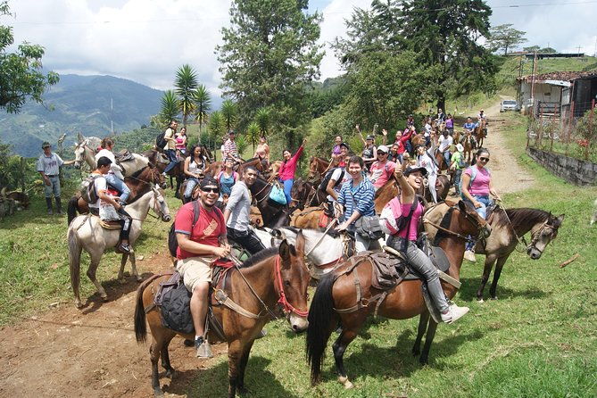 coffee-tour-in-horse-riding-and-lunch-in-medellin