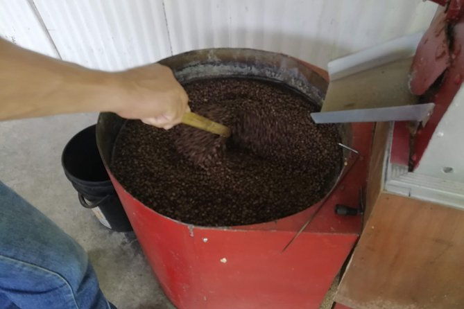 coffee-tour-la-victoria-and-waterfalls-in-minca-private-tour
