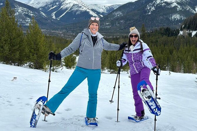 combo-tour-driving-and-snowshoe-trek-of-glacier-national-park