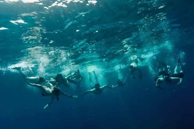comino-guided-snorkeling-experience