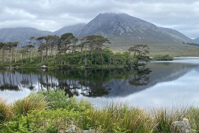 connemara-kylemore-abbey-castles-tour-from-galway