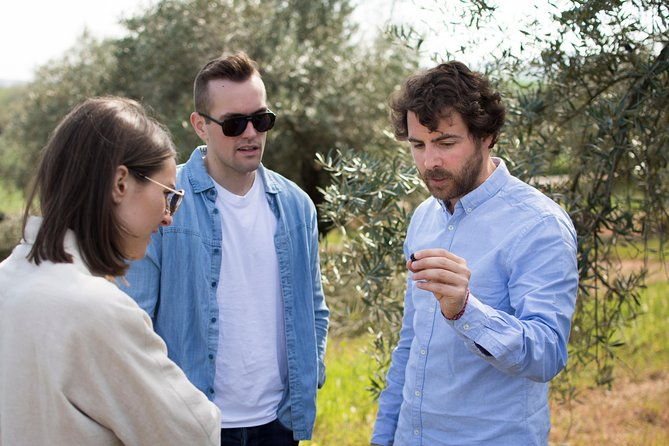 cordoba-olive-oil-mill-wine-passion-2