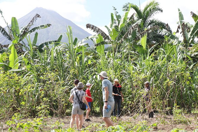 costa-rica-descents-organic-farm