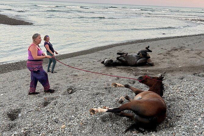 costa-rica-horseback-riding-experience