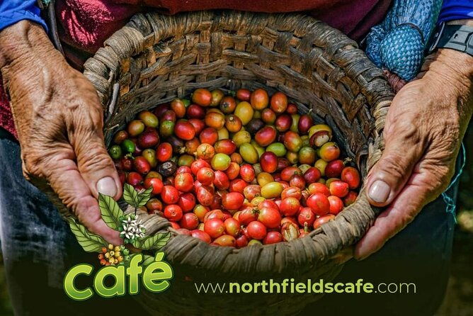 costa-rican-coffee-and-chocolate-crafting-experience-north-fields-cafe
