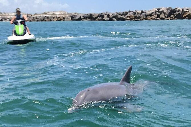 crab-island-dolphin-jetski-adventure-2