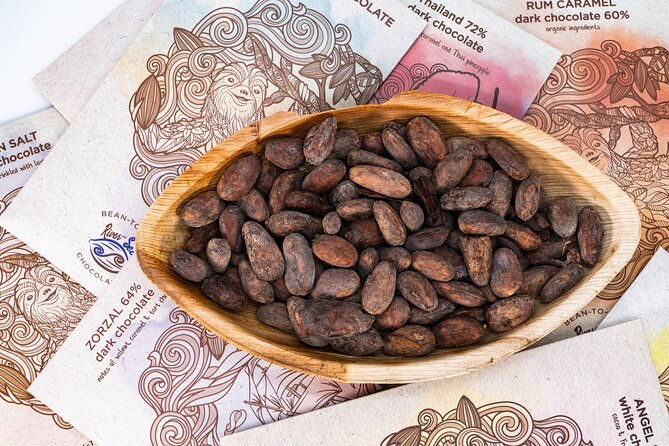craft-chocolate-tasting