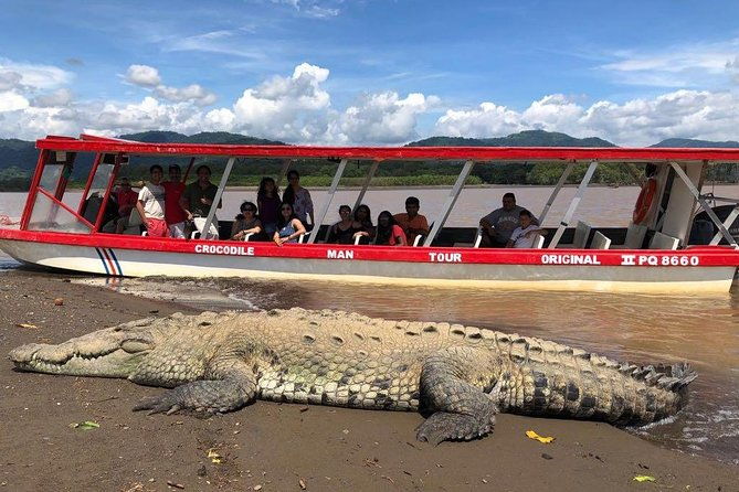 crocodile-man-tour-the-original