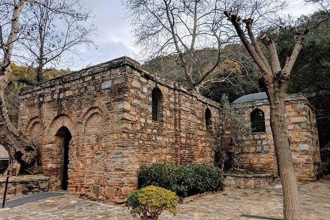cruise-passengers-ephesus-terrace-houses-virgin-mary-tour