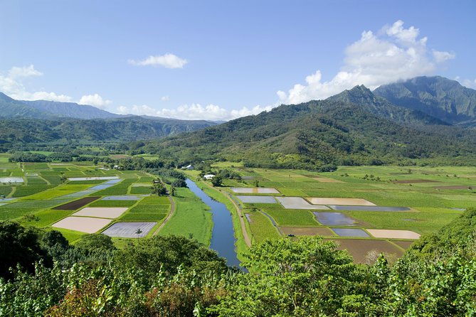 cruise-ship-shore-excursion-kauai-movie-sites-tour