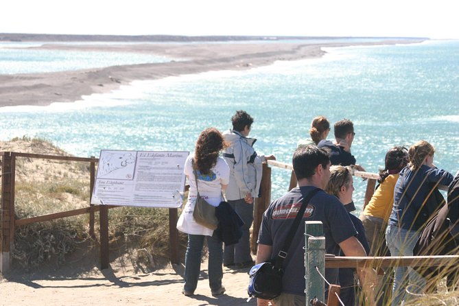 cruise-shore-excursion-peninsula-valdes-pto-madryn-patagonia-argentina