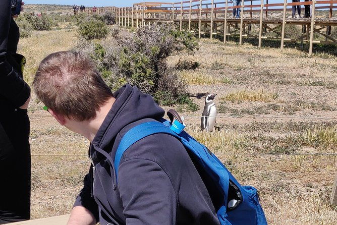 cruise-shore-excursion-punta-tombo-from-puerto-madryn-patagonia