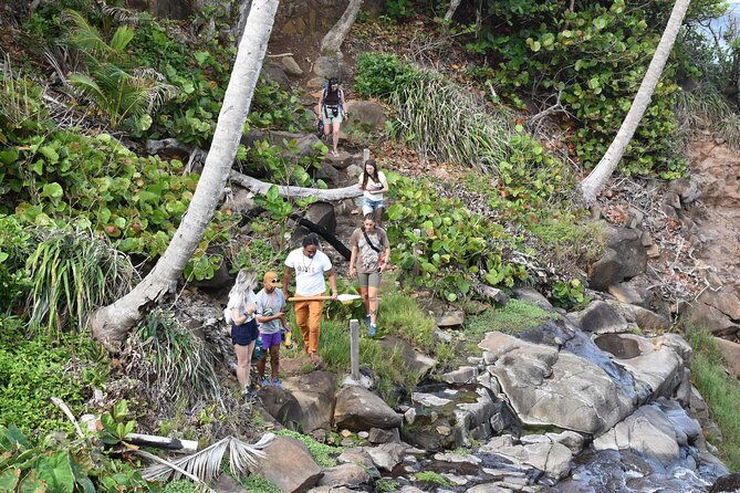 cultural-tours-of-kalinago-territory-of-dominica-with-past-chief