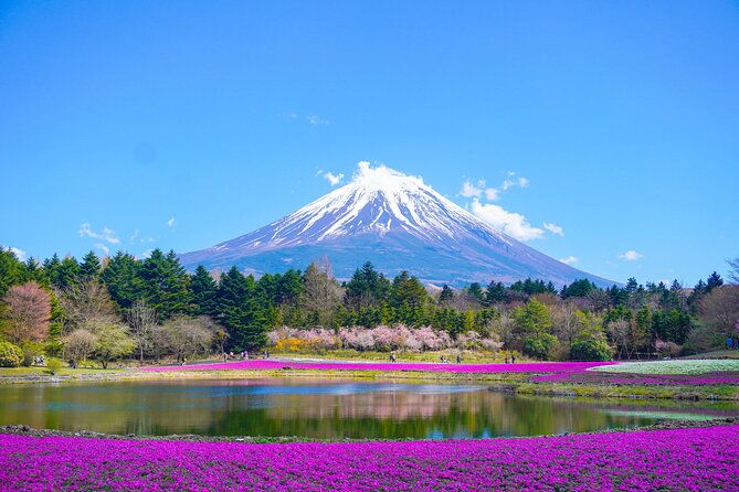 customizable-10-hour-private-tour-from-tokyo-to-mount-fuji