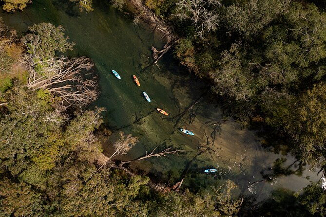 cypress-springs-eco-adventure-3