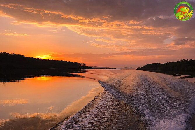 damas-mangrove-boat-tour
